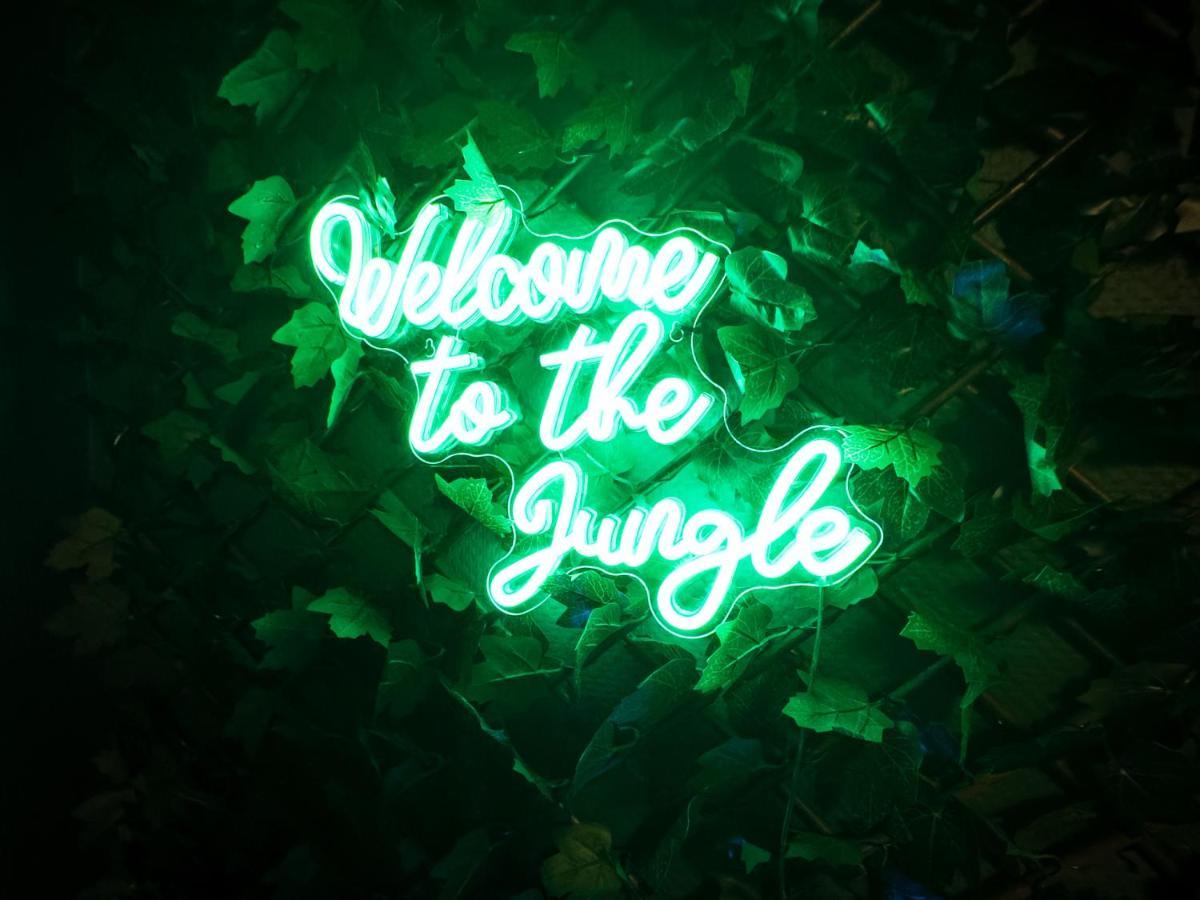Jungle Urbain- Sauna - Cine - Hamac - Hyper Centre Amiens Zewnętrze zdjęcie