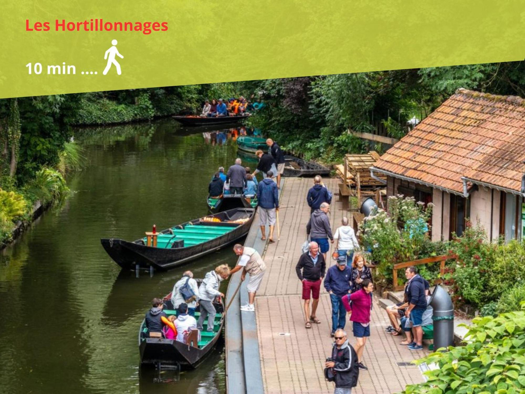 Jungle Urbain- Sauna - Cine - Hamac - Hyper Centre Amiens Zewnętrze zdjęcie